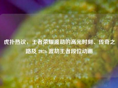 虎扑热议，王者荣耀渡劫的高光时刻、传奇之路及 2026 渡劫王者段位动画