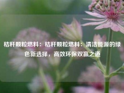 秸秆颗粒燃料：秸秆颗粒燃料：清洁能源的绿色新选择，高效环保双赢之道