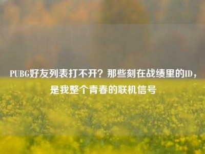 PUBG好友列表打不开？那些刻在战绩里的ID，是我整个青春的联机信号