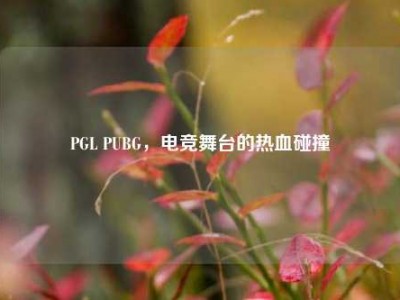 PGL PUBG，电竞舞台的热血碰撞
