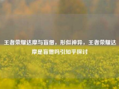 王者荣耀达摩与盲僧，形似神异，王者荣耀达摩是盲僧吗引知乎探讨