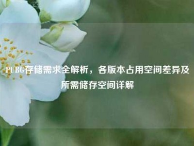 PUBG存储需求全解析，各版本占用空间差异及所需储存空间详解