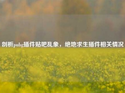 剖析pubg插件贴吧乱象，绝地求生插件相关情况