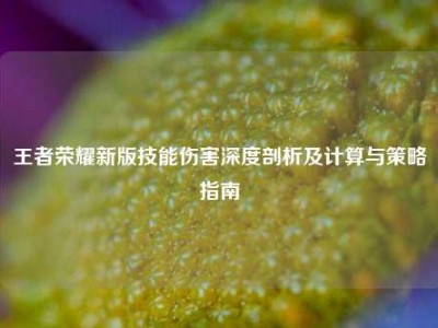 王者荣耀新版技能伤害深度剖析及计算与策略指南