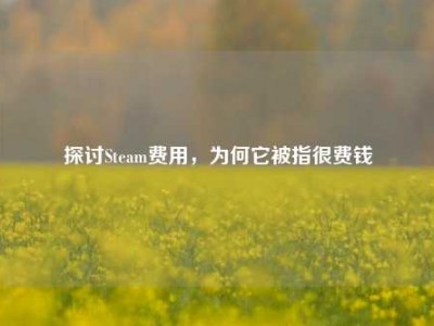 探讨Steam费用，为何它被指很费钱