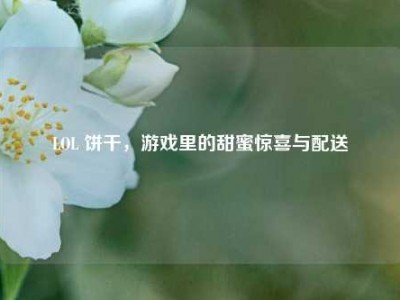 LOL 饼干，游戏里的甜蜜惊喜与配送