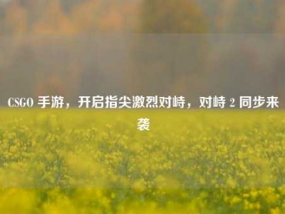 CSGO 手游，开启指尖激烈对峙，对峙 2 同步来袭