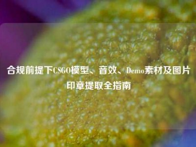 合规前提下CSGO模型、音效、Demo素材及图片印章提取全指南