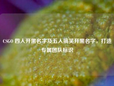 CSGO 四人开黑名字及五人搞笑开黑名字，打造专属团队标识