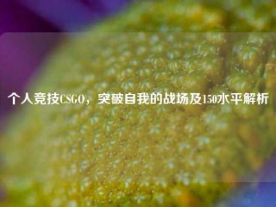 个人竞技CSGO，突破自我的战场及150水平解析