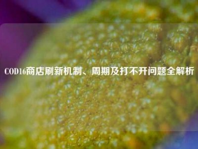 COD16商店刷新机制、周期及打不开问题全解析