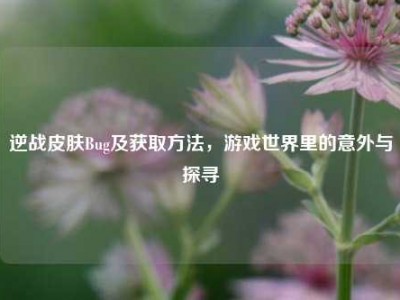 逆战皮肤Bug及获取方法，游戏世界里的意外与探寻