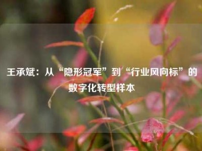 王承斌：从“隐形冠军”到“行业风向标”的数字化转型样本
