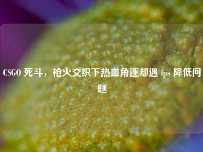CSGO 死斗，枪火交织下热血角逐却遇 fps 降低问题