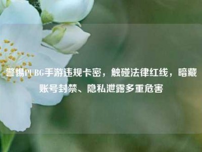 警惕PUBG手游违规卡密，触碰法律红线，暗藏账号封禁、隐私泄露多重危害
