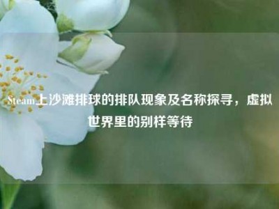 Steam上沙滩排球的排队现象及名称探寻，虚拟世界里的别样等待