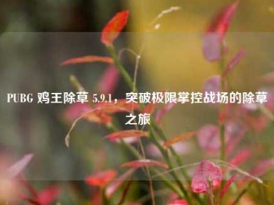 PUBG 鸡王除草 5.9.1，突破极限掌控战场的除草之旅