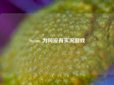 Steam 为何没有实况游戏