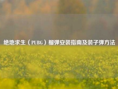 绝地求生（PUBG）榴弹安装指南及装子弹方法