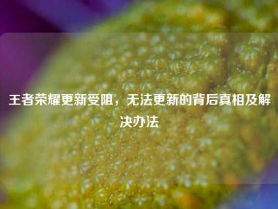 王者荣耀更新受阻，无法更新的背后真相及解决办法