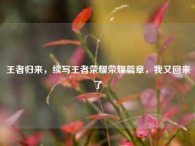 王者归来，续写王者荣耀荣耀篇章，我又回来了