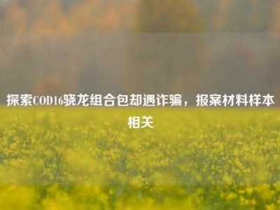 探索COD16骁龙组合包却遇诈骗，报案材料样本相关