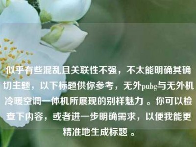 似乎有些混乱且关联性不强，不太能明确其确切主题，以下标题供你参考，无外pubg与无外机冷暖空调一体机所展现的别样魅力 。你可以检查下内容，或者进一步明确需求，以便我能更精准地生成标题 。