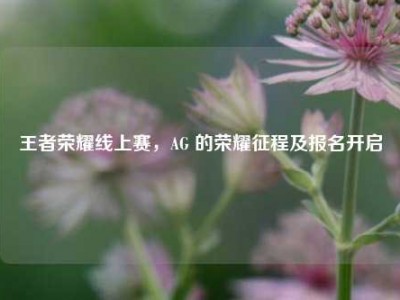 王者荣耀线上赛，AG 的荣耀征程及报名开启