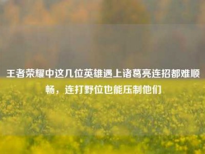 王者荣耀中这几位英雄遇上诸葛亮连招都难顺畅，连打野位也能压制他们