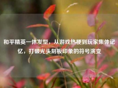 和平精英一休发型，从游戏热梗到玩家集体记忆，打破光头刻板印象的符号演变