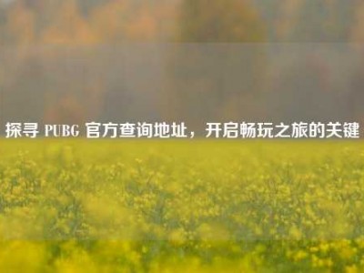 探寻 PUBG 官方查询地址，开启畅玩之旅的关键