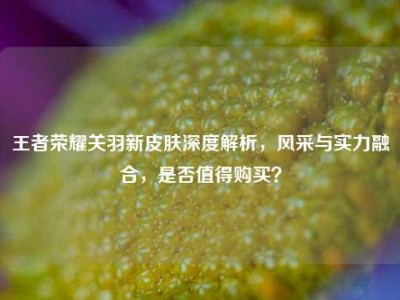 王者荣耀关羽新皮肤深度解析，风采与实力融合，是否值得购买？