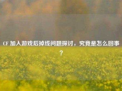 CF 加入游戏后掉线问题探讨，究竟是怎么回事？