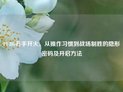 PUBG右手开火，从操作习惯到战场制胜的隐形密码及开启方法