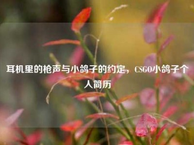 耳机里的枪声与小鸽子的约定，CSGO小鸽子个人简历