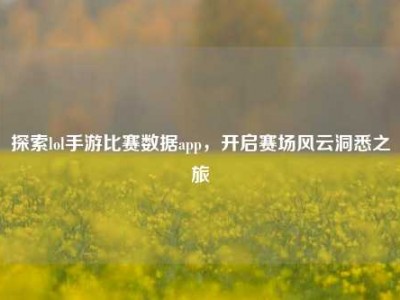 探索lol手游比赛数据app，开启赛场风云洞悉之旅