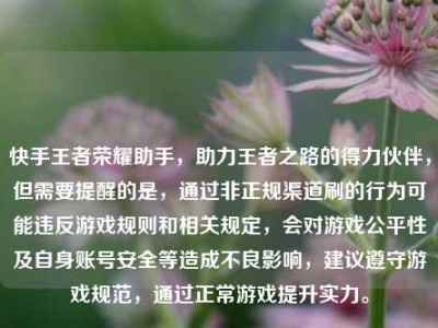 快手王者荣耀助手，助力王者之路的得力伙伴，但需要提醒的是，通过非正规渠道刷的行为可能违反游戏规则和相关规定，会对游戏公平性及自身账号安全等造成不良影响，建议遵守游戏规范，通过正常游戏提升实力。