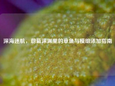 深海迷航，蔚蓝深渊里的章鱼与模组添加指南
