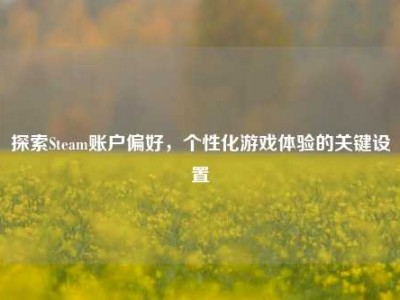 探索Steam账户偏好，个性化游戏体验的关键设置