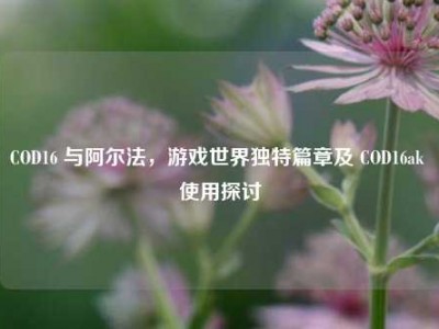 COD16 与阿尔法，游戏世界独特篇章及 COD16ak 使用探讨