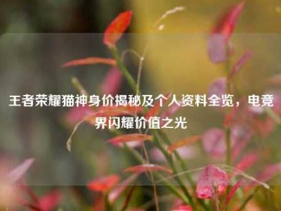 王者荣耀猫神身价揭秘及个人资料全览，电竞界闪耀价值之光
