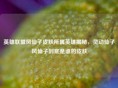 英雄联盟风仙子皮肤所属英雄揭秘，灵动仙子风仙子到底是谁的皮肤