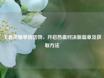 王者荣耀单挑信物，开启热血对决新篇章及获取方法