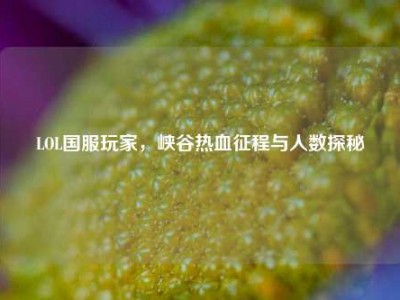 LOL国服玩家，峡谷热血征程与人数探秘