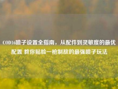 COD16喷子设置全指南，从配件到灵敏度的最优配置 教你贴脸一枪制敌的最强喷子玩法