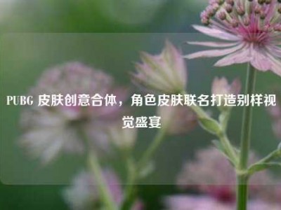 PUBG 皮肤创意合体，角色皮肤联名打造别样视觉盛宴