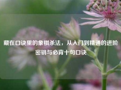 藏在口诀里的象棋杀法，从入门到精通的进阶密钥与必背十句口诀