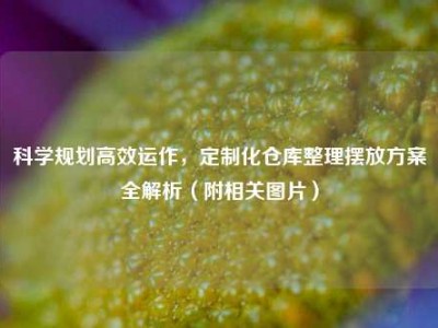 科学规划高效运作，定制化仓库整理摆放方案全解析（附相关图片）