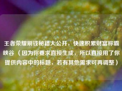 王者荣耀刷钱秘籍大公开，快速积累财富称霸峡谷 （因为你要求直接生成，所以直接用了你提供内容中的标题，若有其他需求可再调整）