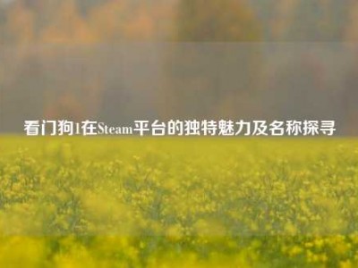 看门狗1在Steam平台的独特魅力及名称探寻